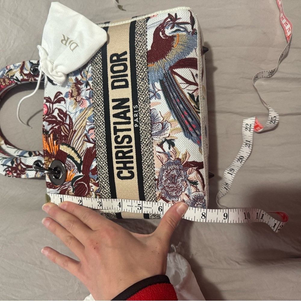 Dior Multicolor Embroidered Bag - Picture 7 of 7